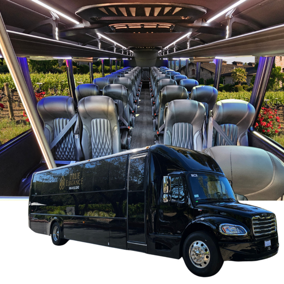 True Elegance 44-passenger mini coach with quilted ivory leather seating and vineyard view