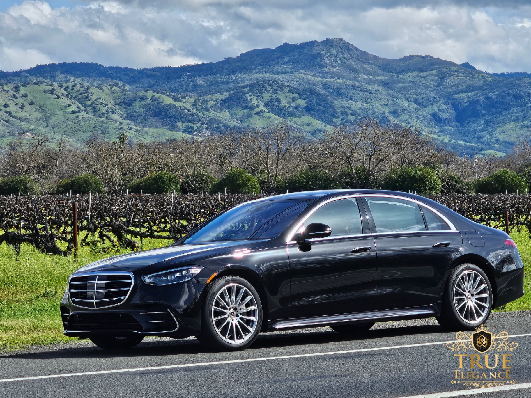 Luxury Mercedes S-Class chauffeured through Napa Valley wine country